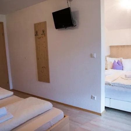 Appartements Spitaler Ried im Zillertal Exterior photo