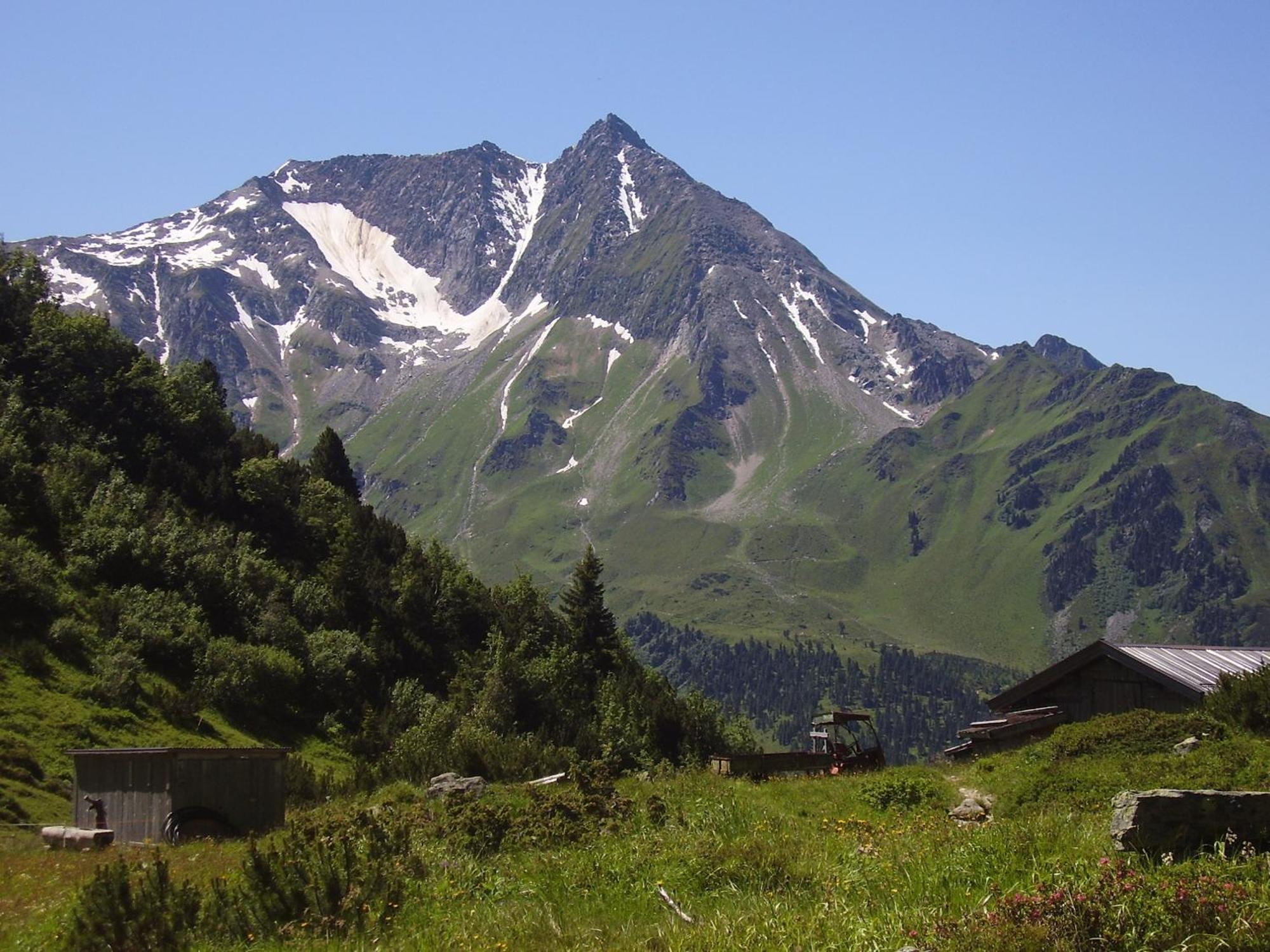 Apartment Spitaler Ried im Zillertal